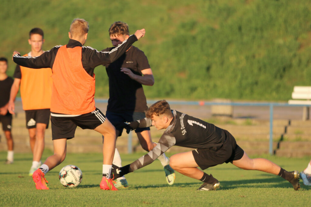 Nachwuchs kehrt ins Training zurück