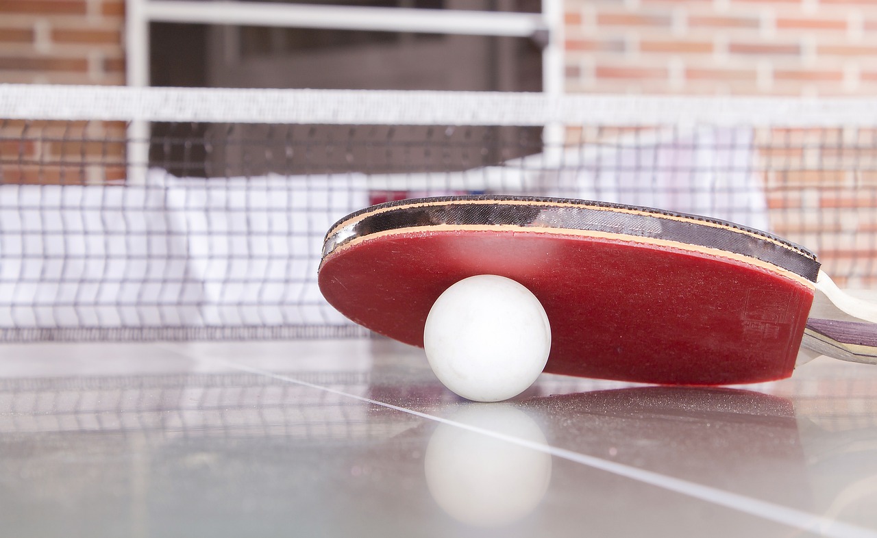 https://svdessau05.de/wp-content/uploads/2024/03/table-tennis-1708418_1280.jpg